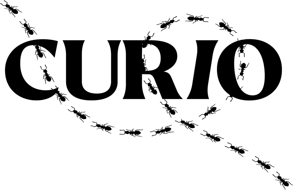 CURIOPRACTICE